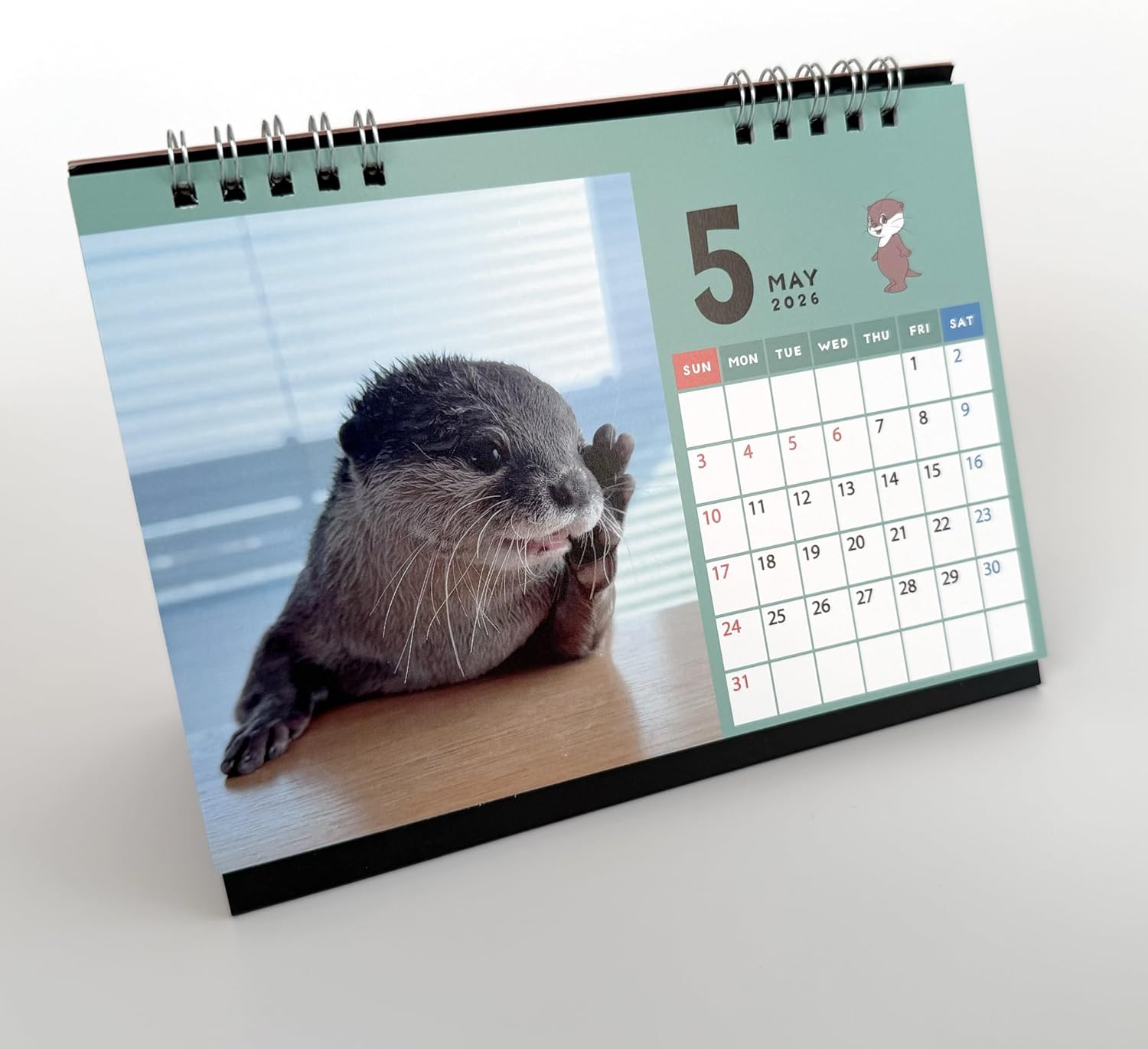 Official OTTER KOTARO&HANA 2026 DESK CALENDAR