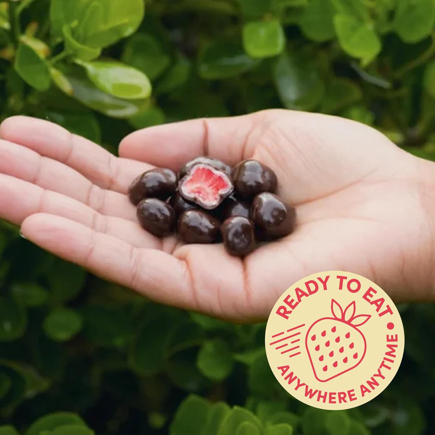 Tru Fru Freeze Dried Fruit Variety Pack, Strawberries & Crème, Strawberries in Dark & White Chocolate, Real Fruit, Chocolate Covered Snacks, Gluten Free Candy, 6 Pack (3.4oz)