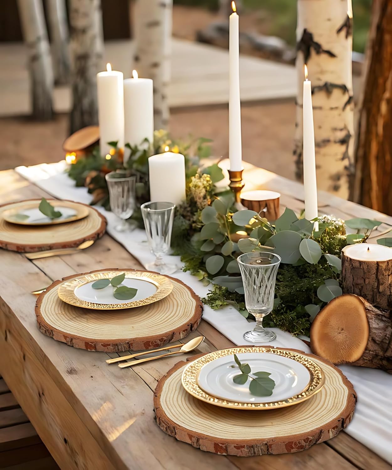 Large Unfinished Natural Wood Slices - 6 Pcs Natural Round Discs Rustic Wood Slices 9-9.8 Inch Wooden Tree Bark Discs for DIY Crafts Centerpieces Table Base Decoration Wedding Ornaments Coasters