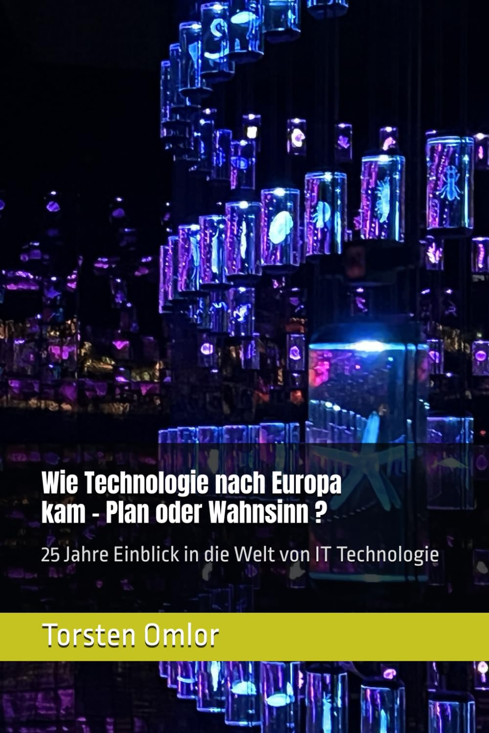 Wie Technologie nach Europa kam - Plan oder Wahnsinn: 25 Jahre Einblick in die Welt von IT Technologie