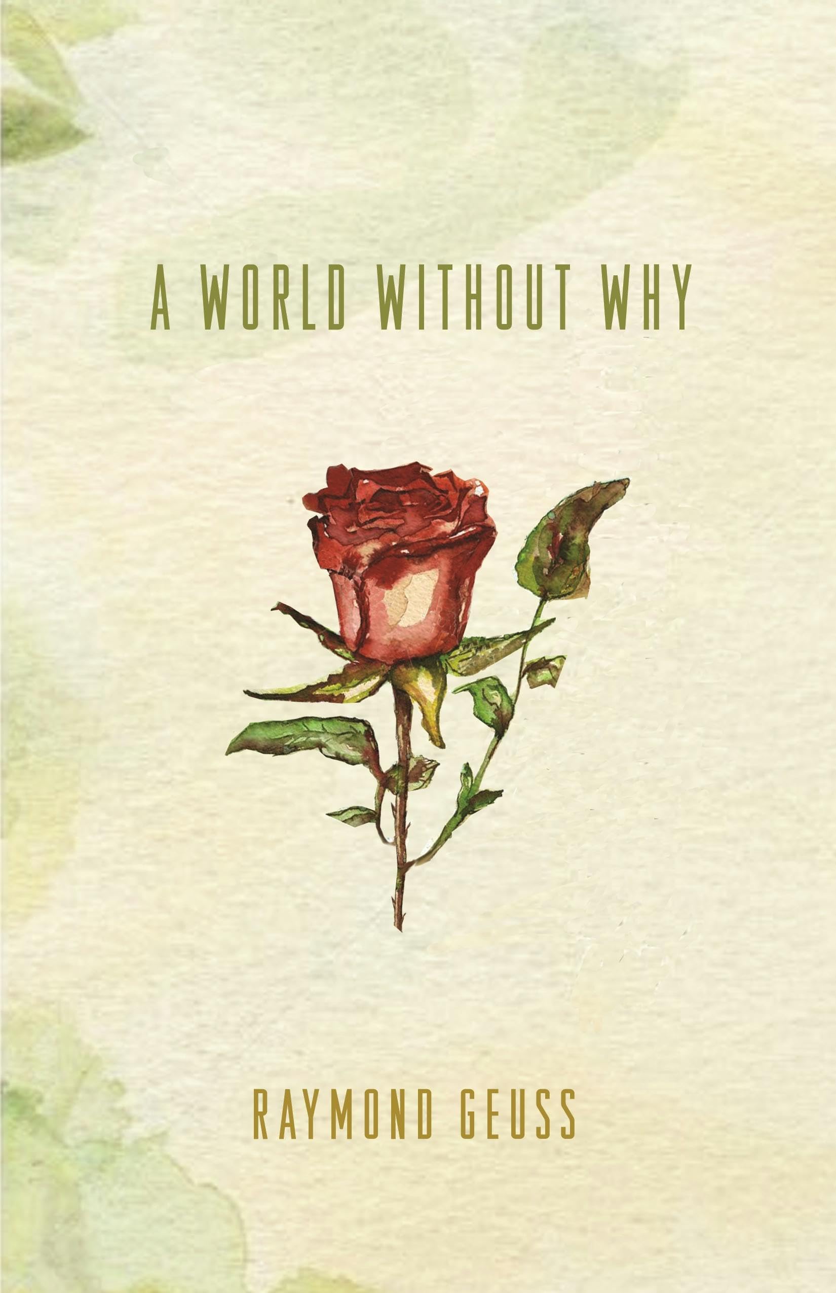 A World without Why view 3