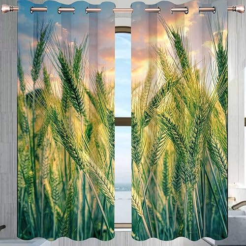 Cortinas aisladas para plantas de campo de cereales, 2 paneles de cortinas con aislamiento de atardecer de 72 pulgadas de ancho x 72 pulgadas de alto