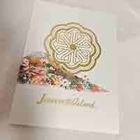 Amazon.co.jp: Johnnys Happy new year Island パンフレット