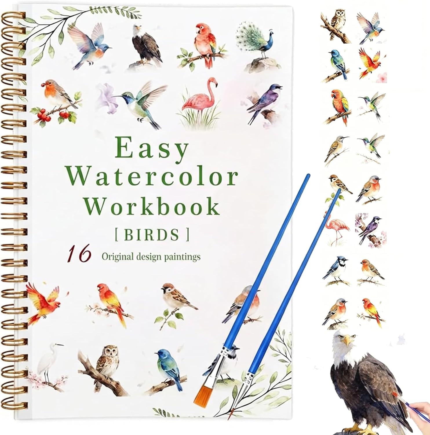 Watercolor Workbook, 16 Pages Watercolor Paper Spiral Bound Coloring Book, 12 Colors Watercolor Paint Set, Beginner Friendly Travel Watercolor Set, Watercolor Workbook Gift for Adults and Kids(Bird)