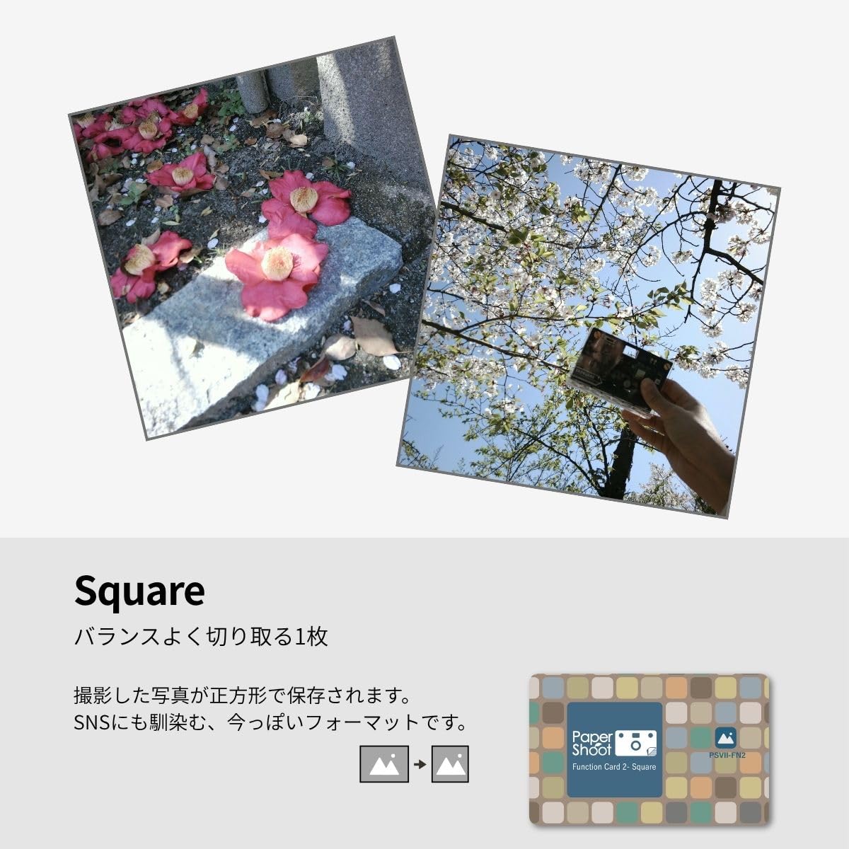 Amazon | ペーパーシュート(papershoot) Function Card Set