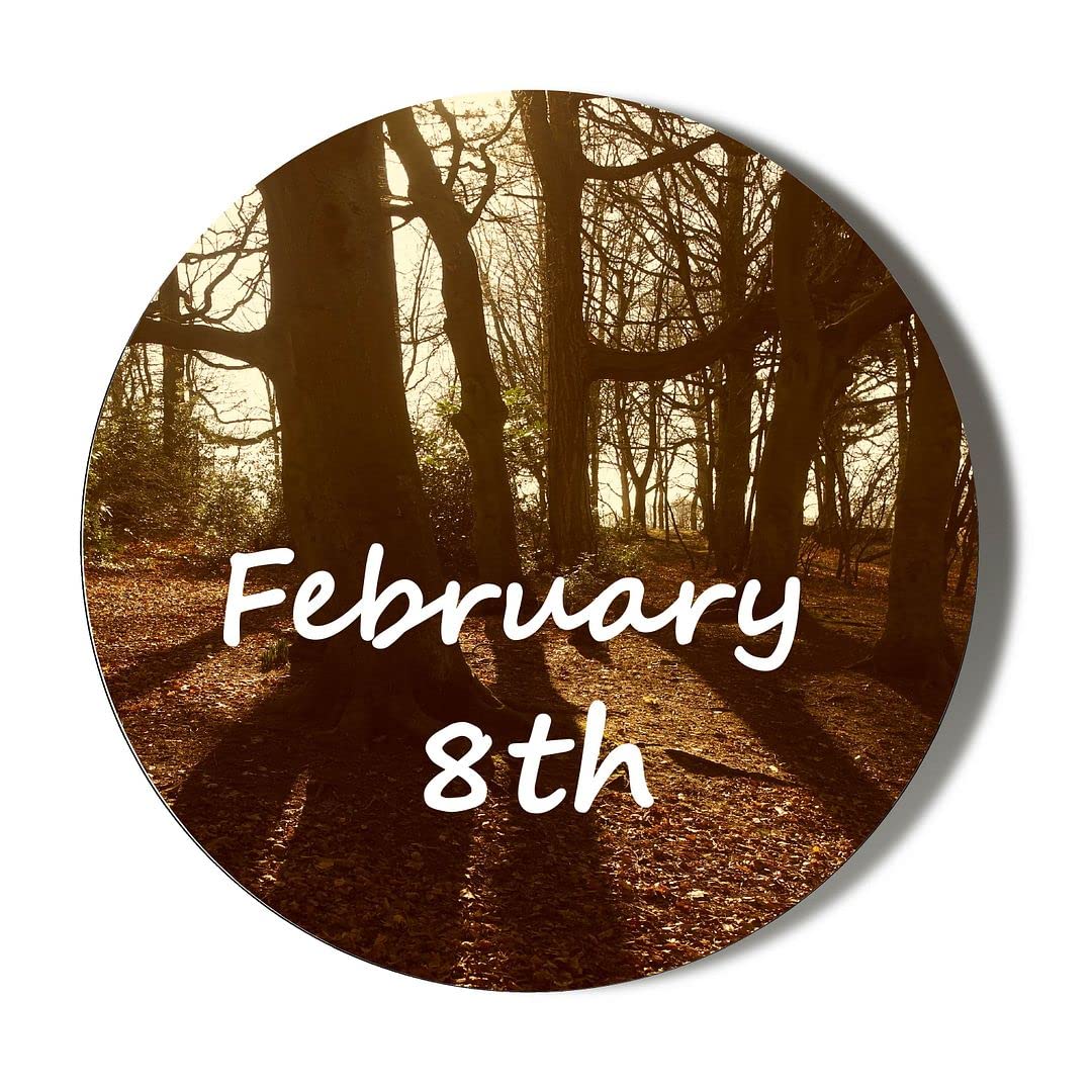 Gift Insanity White February 8Th 38Mm Round Fridge Magnet