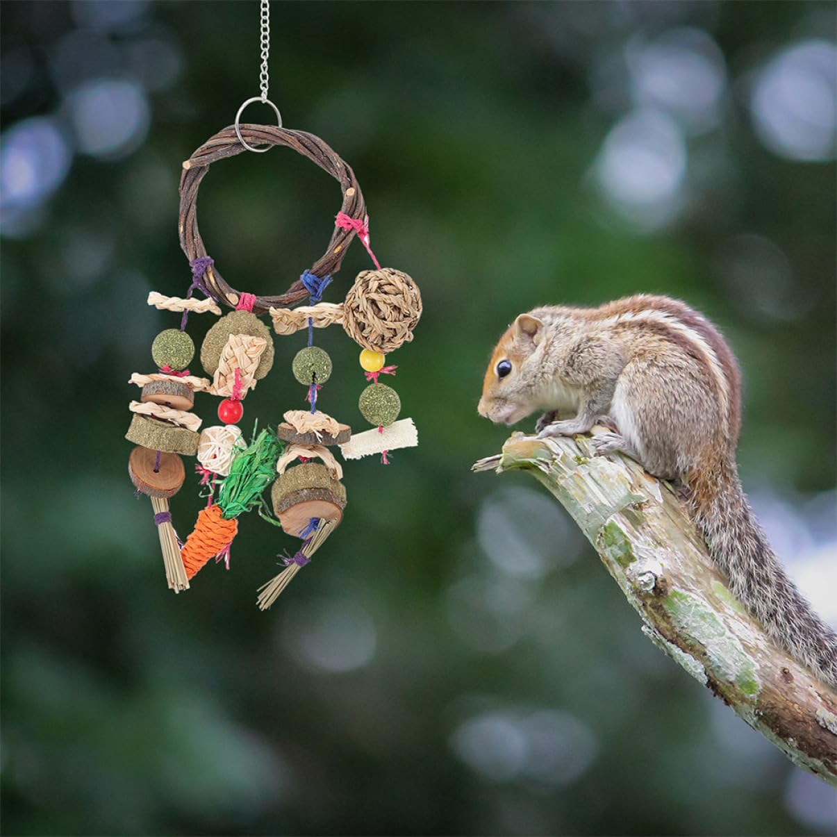 Yardwe 2 Stück Kaninchen Kauspielzeug für Kleine Haustiere Geruchsfrei zum Spielen und Zähne Schleifen Hängendes Hamsterzubehör für Kleintierkäfige