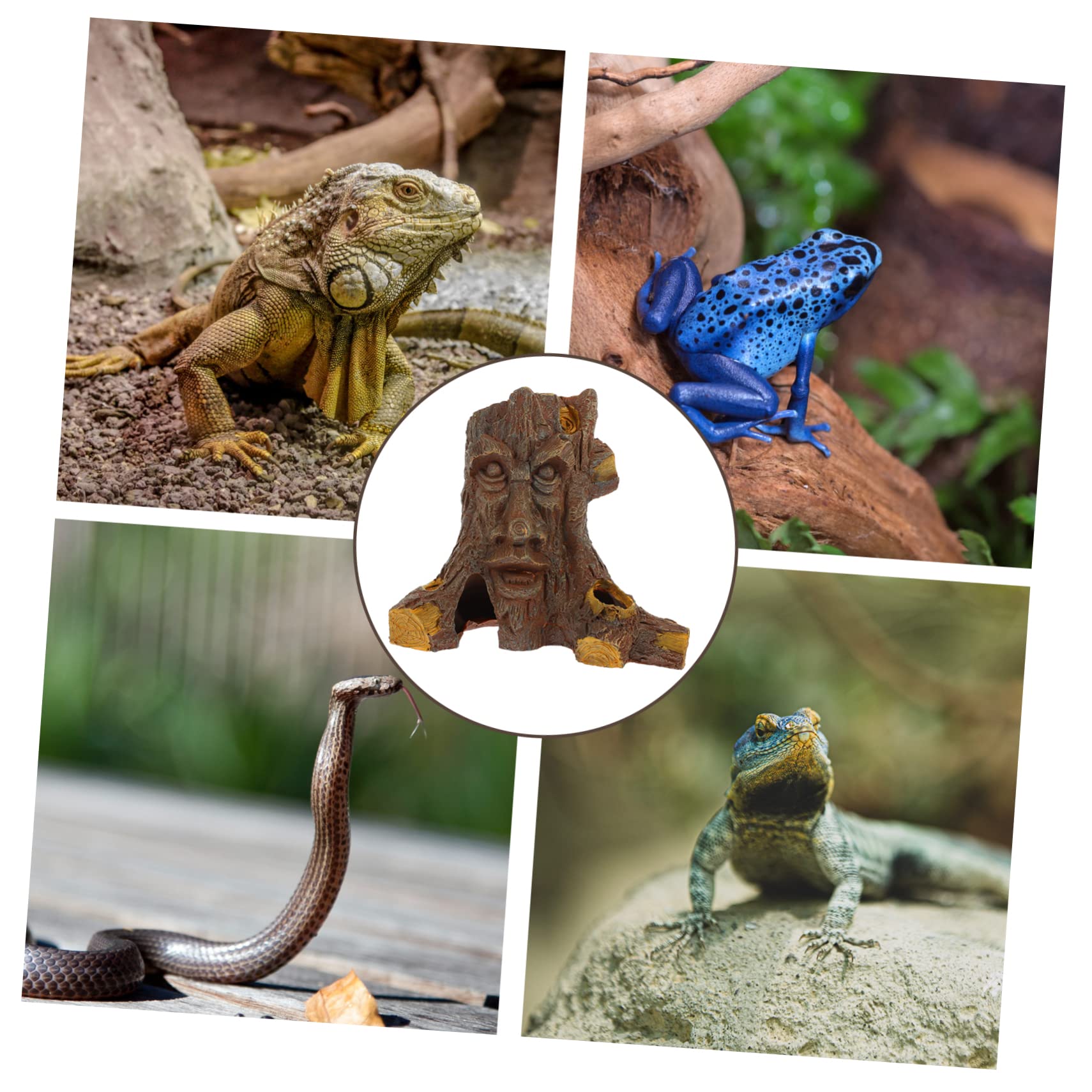 Cachette pour Reptiles et Lézards en Résine, Grotte Décorative Effet Trou D’Arbre, Taille Moyenne, Ornemente Terrarium Tortue et Amphibiens, Refuge Intérieur pour Petits Reptiles