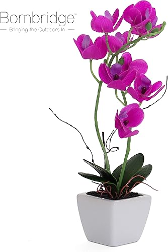 Miniatura 4 de Bornbridge Orquídea artificial, planta falsa con flores de tacto real, flores artificiales de tallo largo sintético, flores falsas en maceta