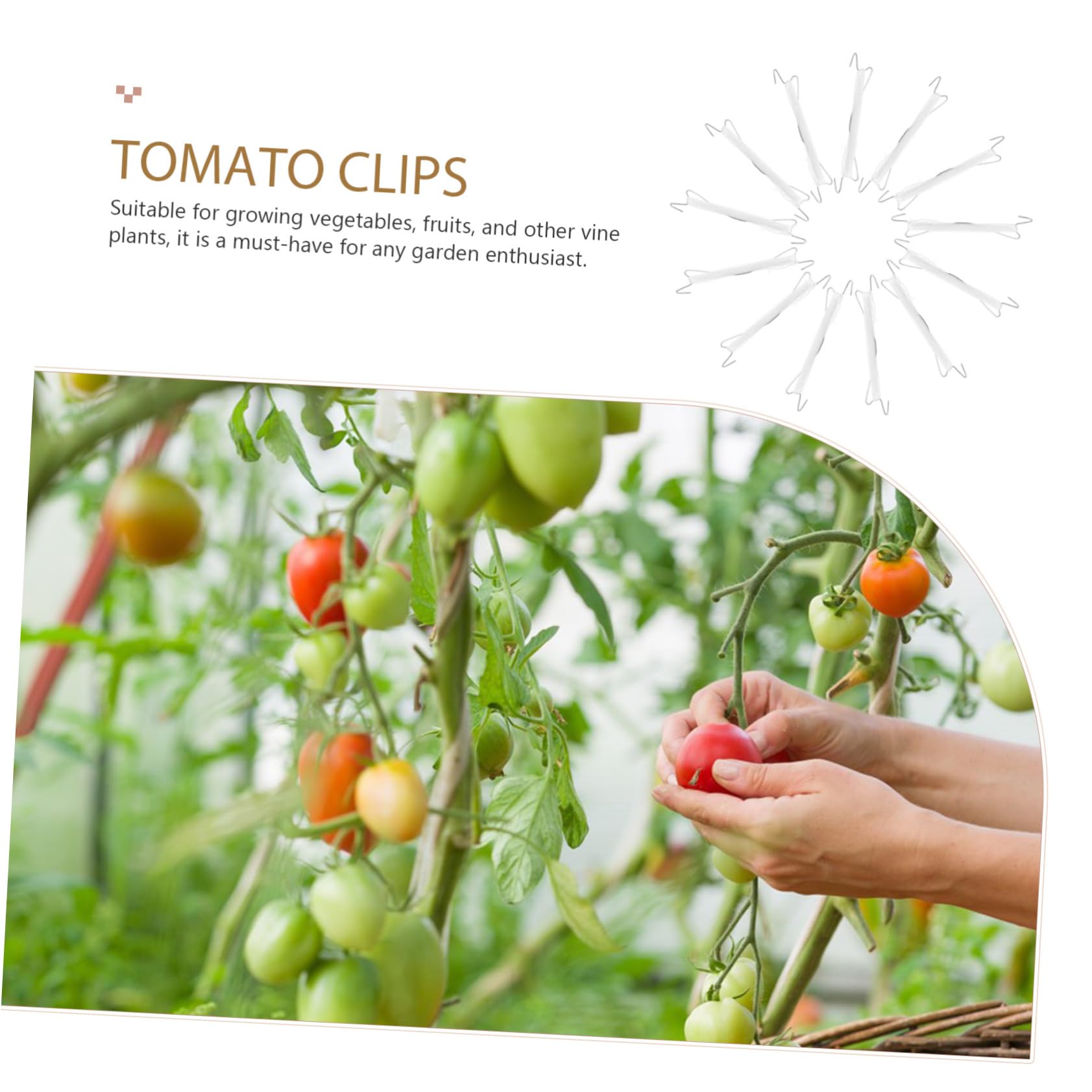 ibasenice 5 Sätze Tomatenklammern für Pflanzen Robuste Unterstützung für Kletterpflanzen für Gartenarbeiten und Gewächshausnutzung Teiliges mit Hoher Effizienz und Platzsparendem Design