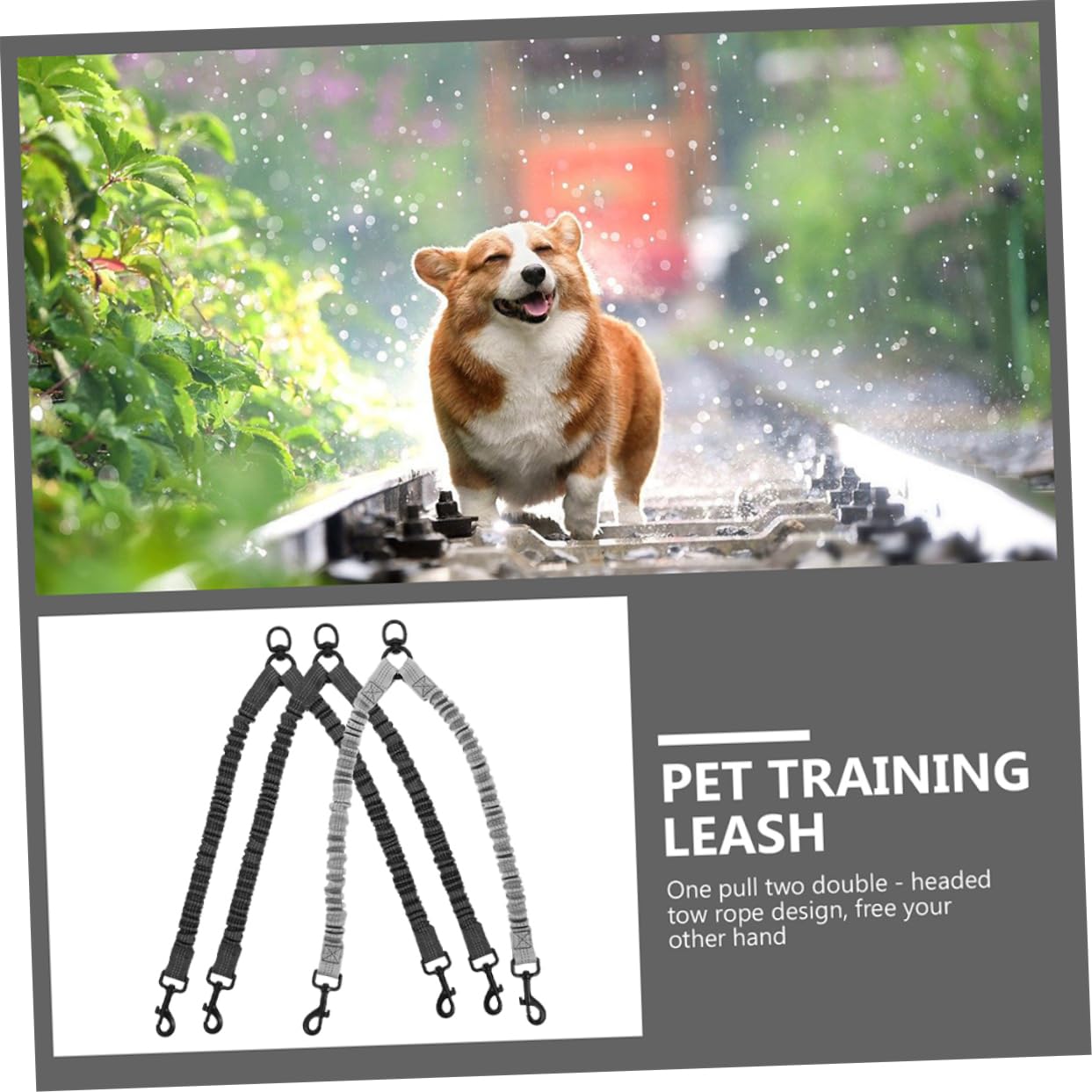 COLLBATH 3piezas Cuerda De Tracción De Doble para Perros Correa Reflectante para Paseos Resistente y Portátil para Cachorros y Mascotas