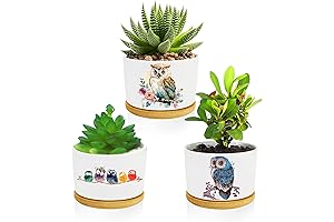 Window Garden Owl Planter Pots: Charming Owl Gifts for Owl Lovers