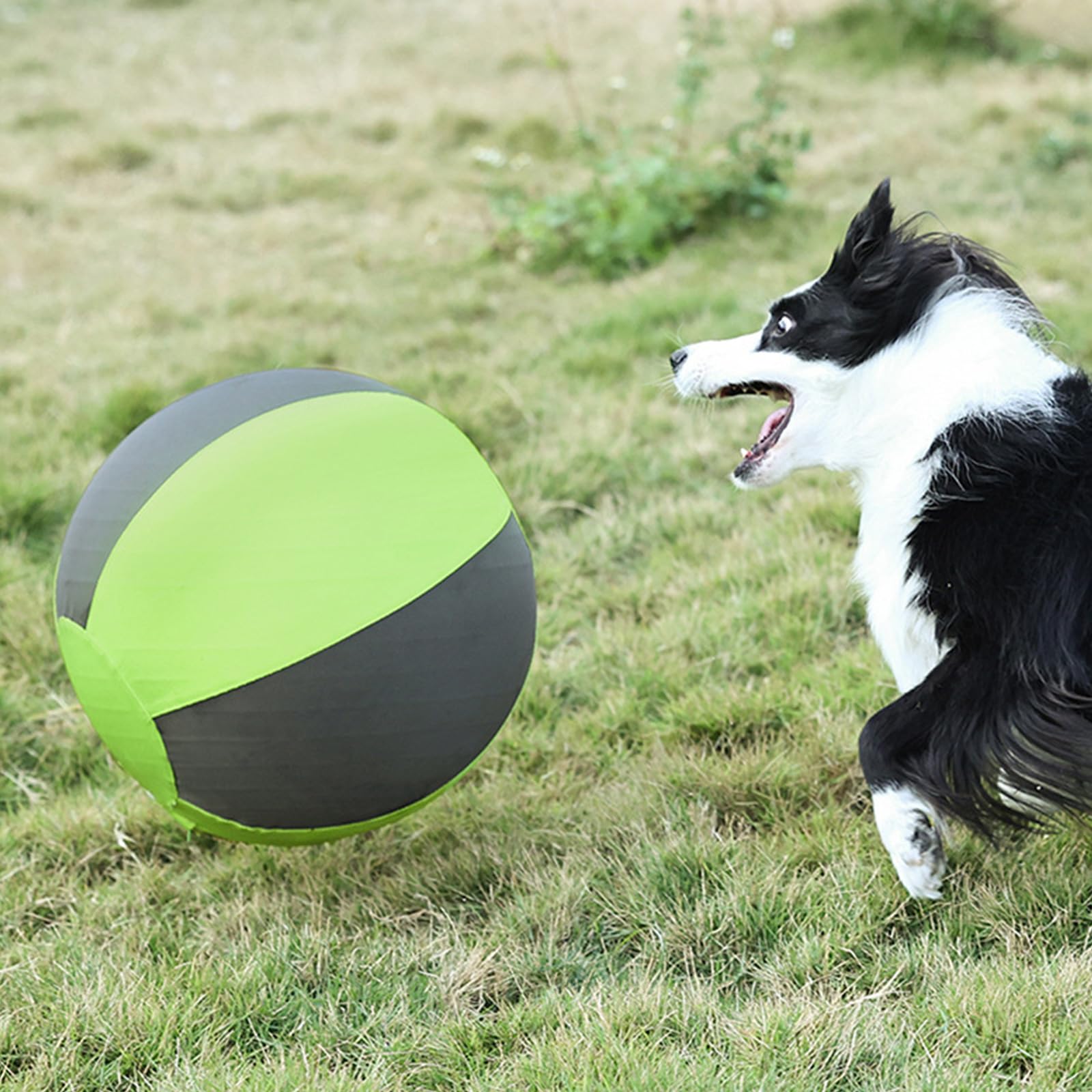 Giocattolo rimbalzante sicuro in EVA per gioco che brucia energia del cane inseguendo la palla da addestramento per cani da masticare per interni esterni
