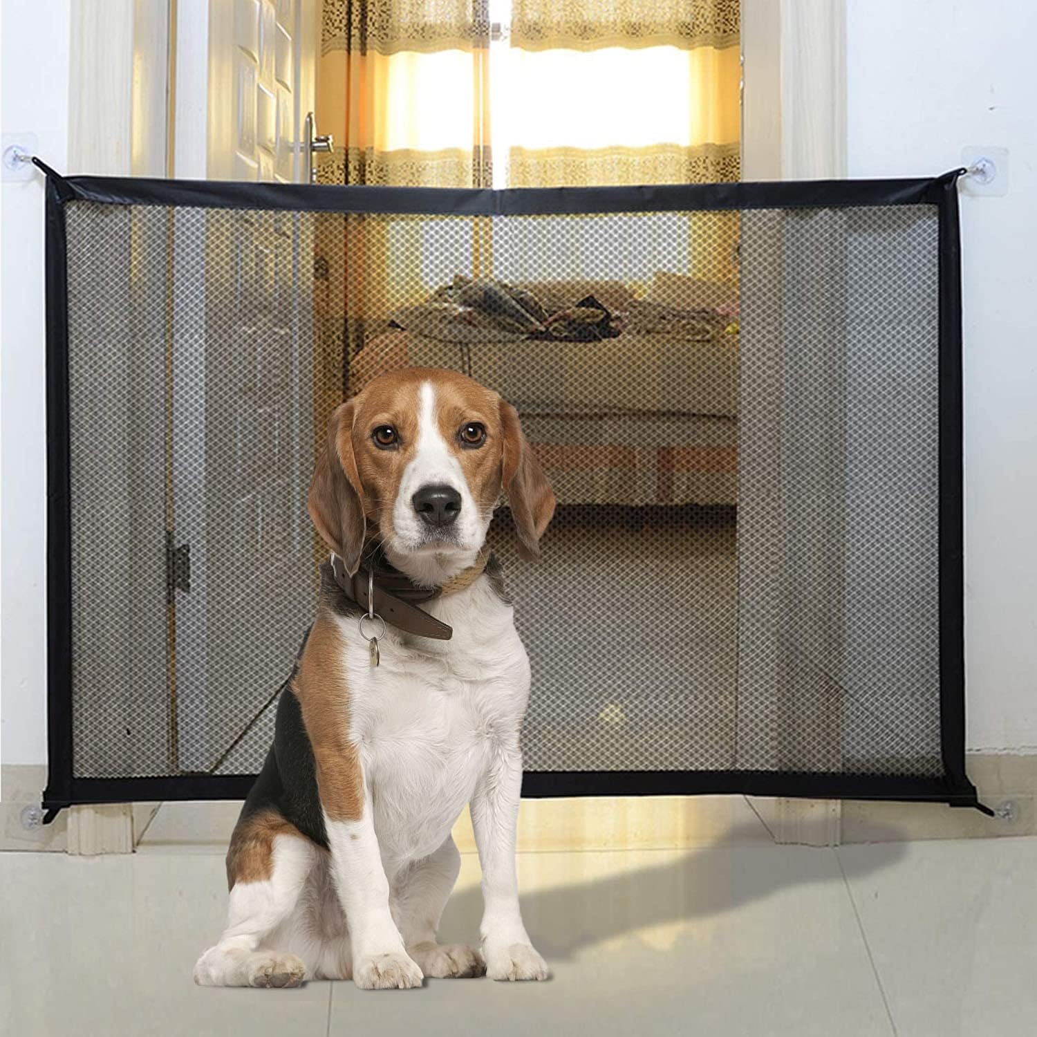 retractable dog guard