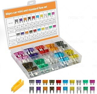 Liamner 80PCS Standard & Mini Blade Car Fuses Assortment Kit (2A-35A) with Fuse Puller - Automotive Fuses for Cars, RVs, Trucks, Boats