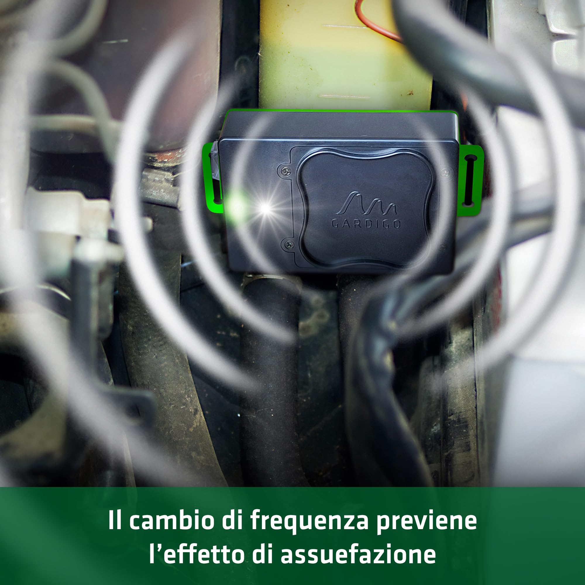 Gardigo® Dispositivo Anti Martore a Batterie | Repellente Antiroditori per Auto, Casa | Facile Sostituzione Batterie | Ultrasuoni per Allontanare Roditori Vano Motore, Soffitta | Repellente Topi Auto