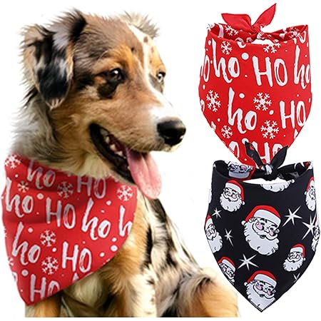 petsmart sticky paws