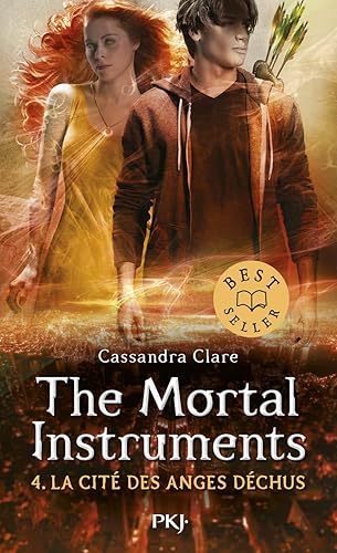 The Mortal instruments - tome 04 : La Cité des Anges Déchus