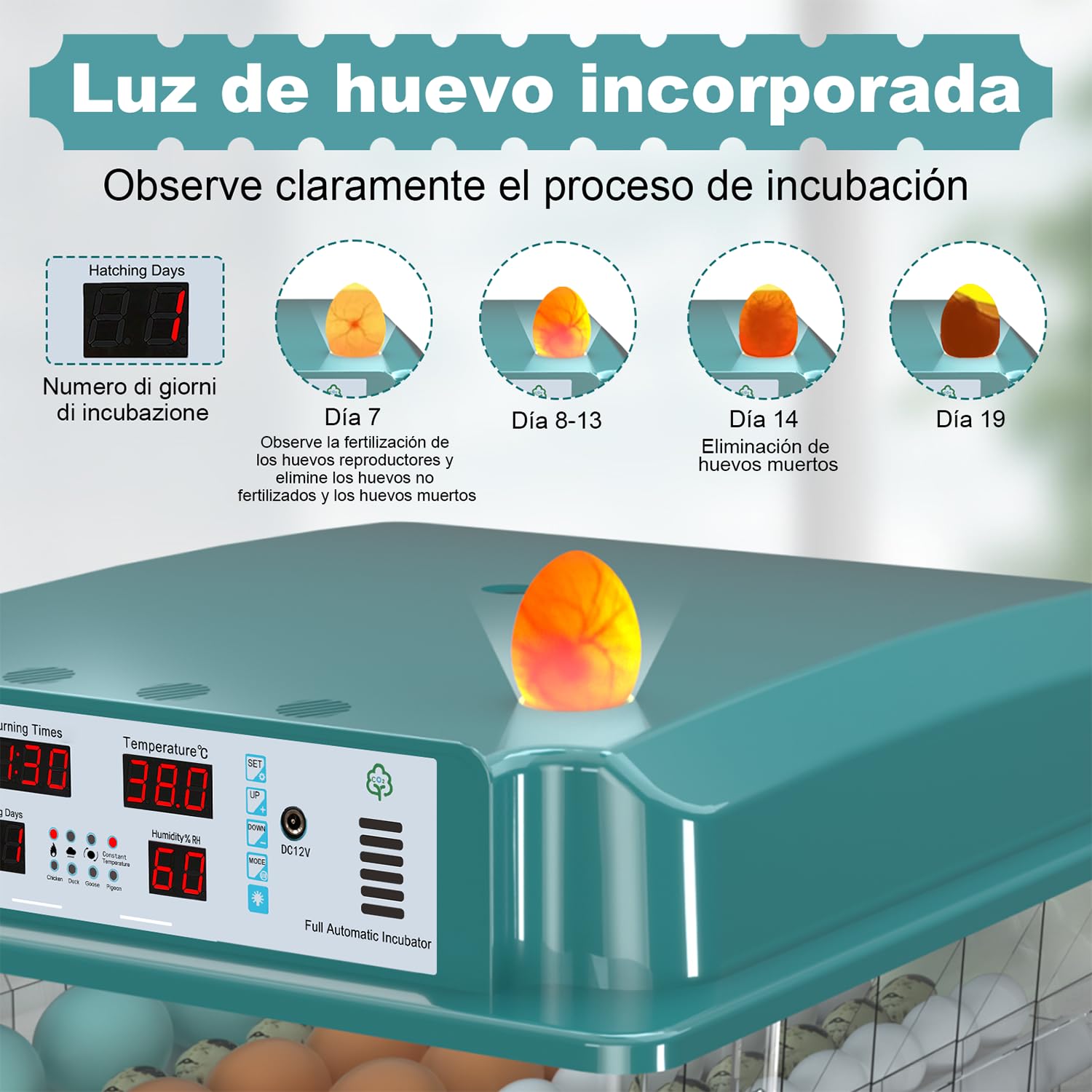 Incubadora de Huevos 120 Unidades, Incubadoras de Huevos Automaticas con 4 Modos de Incubación, Relleno de Agua Automático, Pantalla de Temperatura y Humedad, Incubadora Huevos Gallina para Volaille