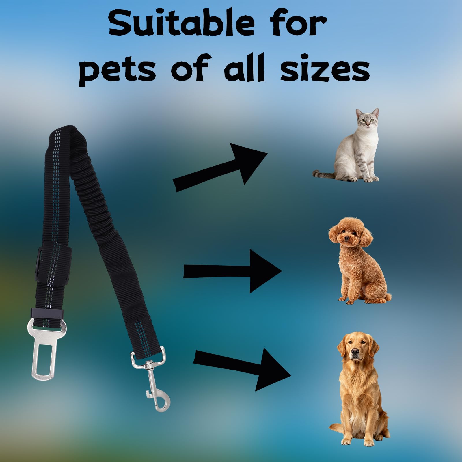 Sangle de Sécurité pour Chien avec Amortisseur Élastique, Mousqueton Solide et Longueur Réglable, Compatible avec Toutes Les Voitures pour Chien et Chat, pour Un Voyage Sûr