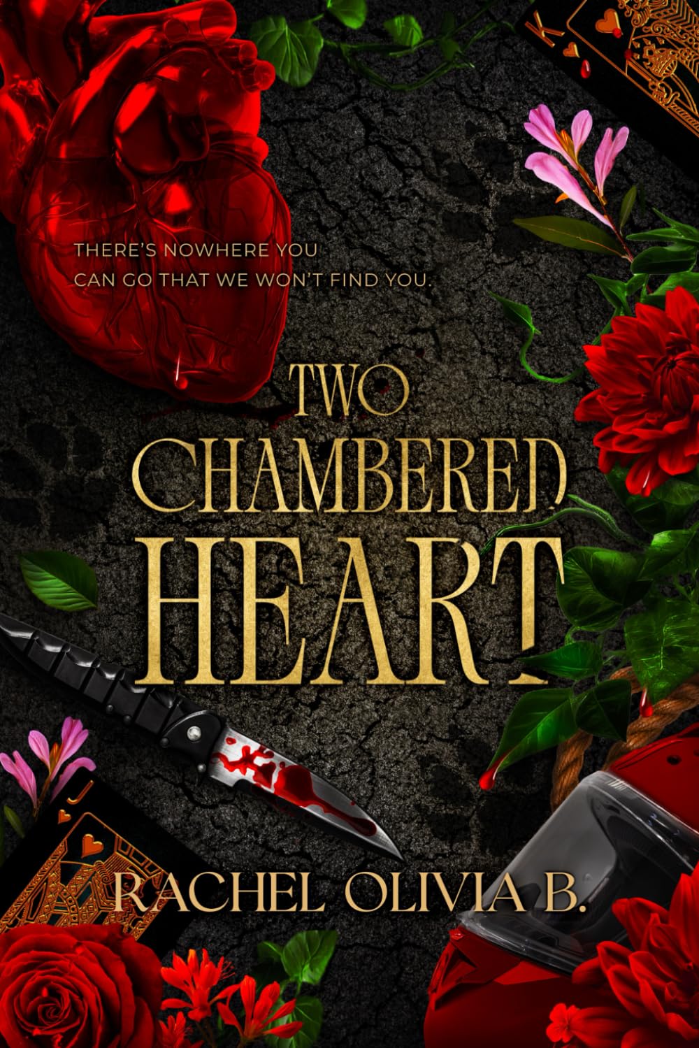 Two Chambered Heart: The Shielded Hearts Saga Book One