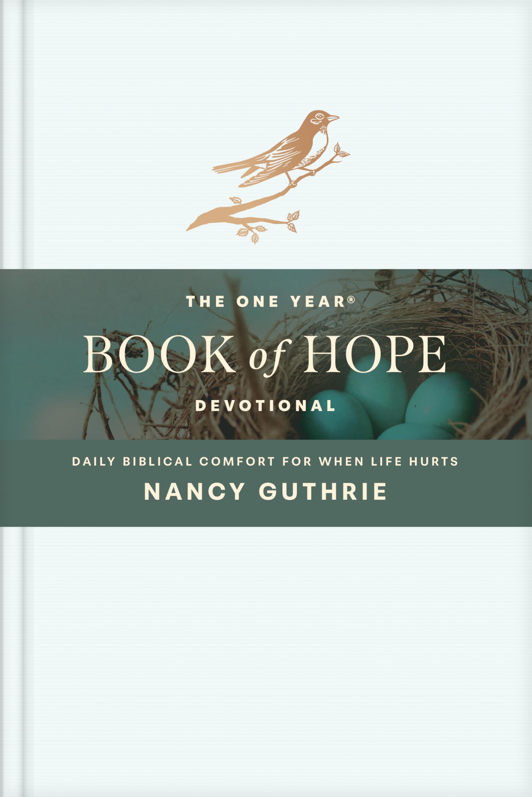 One Year Book of Hope Devotional, The: Daily Biblical Comfort for When Life Hurts