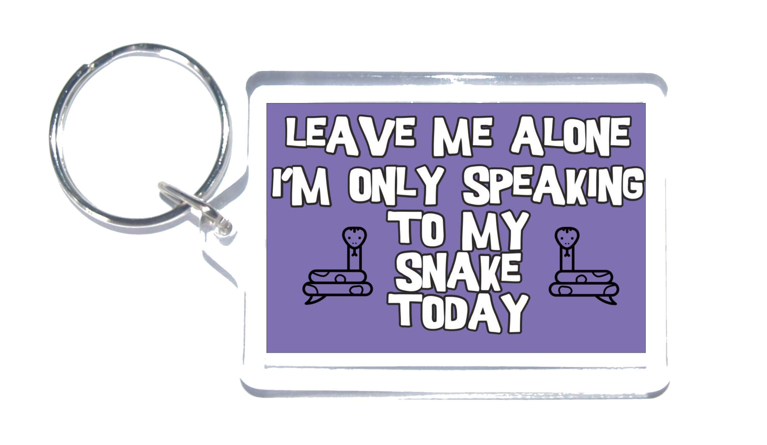 Clare''S Cosmetics Purple Love Snakes - Leave Me Alone I'm Only Talking To My Snake Today - Novelty Keyring - Ideal Present