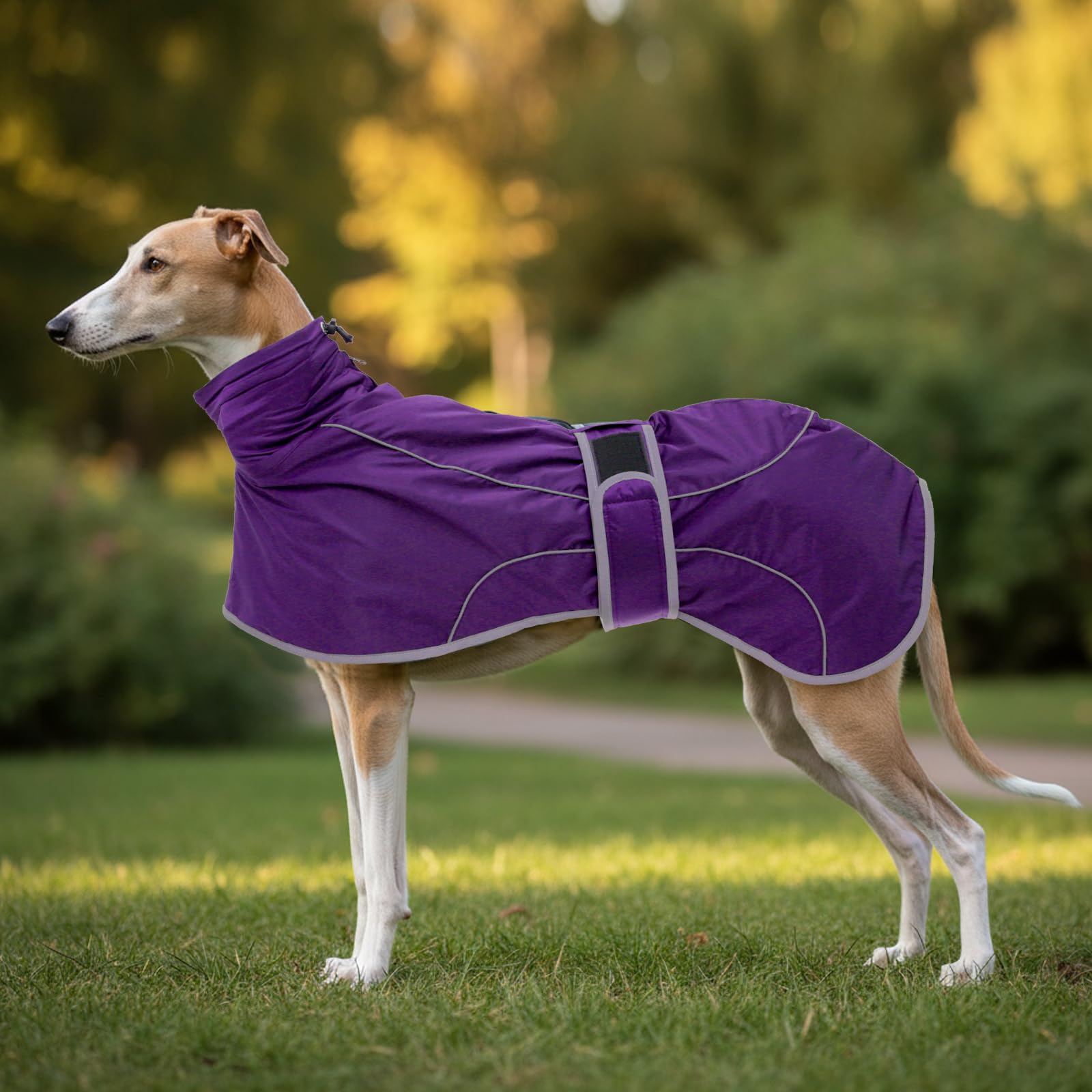 Geyecete- Manteau d'hiver Imperméable pour Lévrier,Pull de Chien avec Polaire Chaude,Réglable Veste avec Trou de Harnais, pour Moyenne et Grande Chiens Levrier,Galgo,Whippet,Lucher-Violet-M
