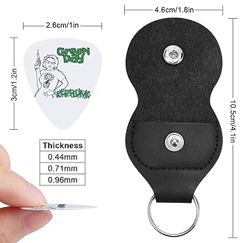 Amazon | グリーン・デイ Green Day ギターピック 6枚 ギター