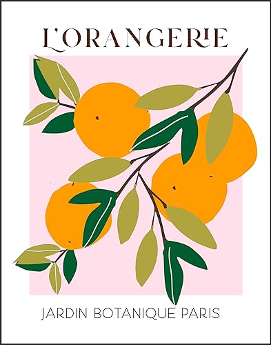 Miniatura 1 de WESTBROOK DESIGN STUDIO Abstract Fruit No.10 Oranges Exhibition Wall Art Print. 11x14 UNFRAMED Modern Kitchen Wall Decor. Shades of Orange, Green,