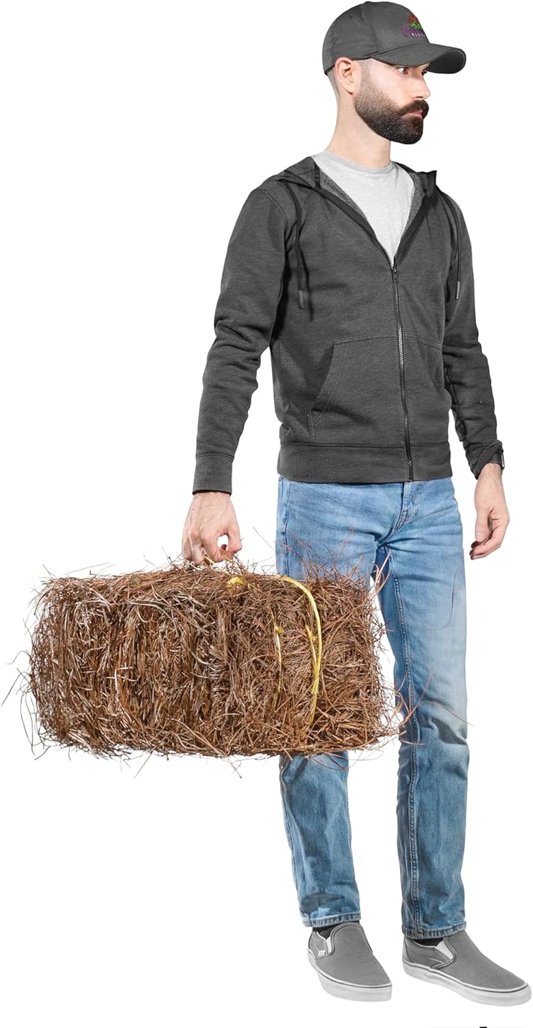 Garden Elements Long Leaf Pine Straw Bale for Mulch, Soil Amendment and Fall Decoration, 24.5" Bale