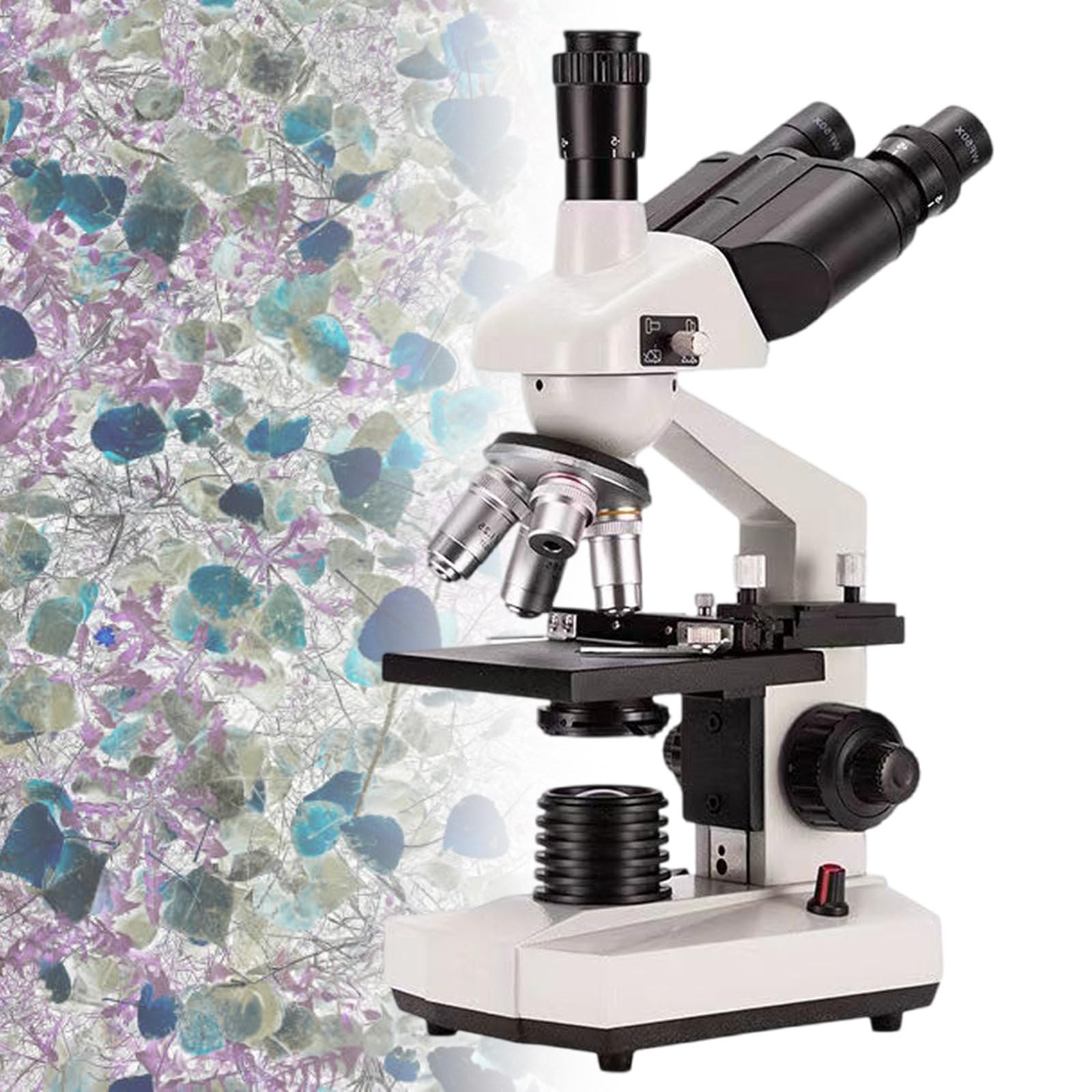 Microscopio trinocular compuesto de aumento 40X-5000X con iluminación LED, microscopio de laboratorio profesional para uso escolar y clínico