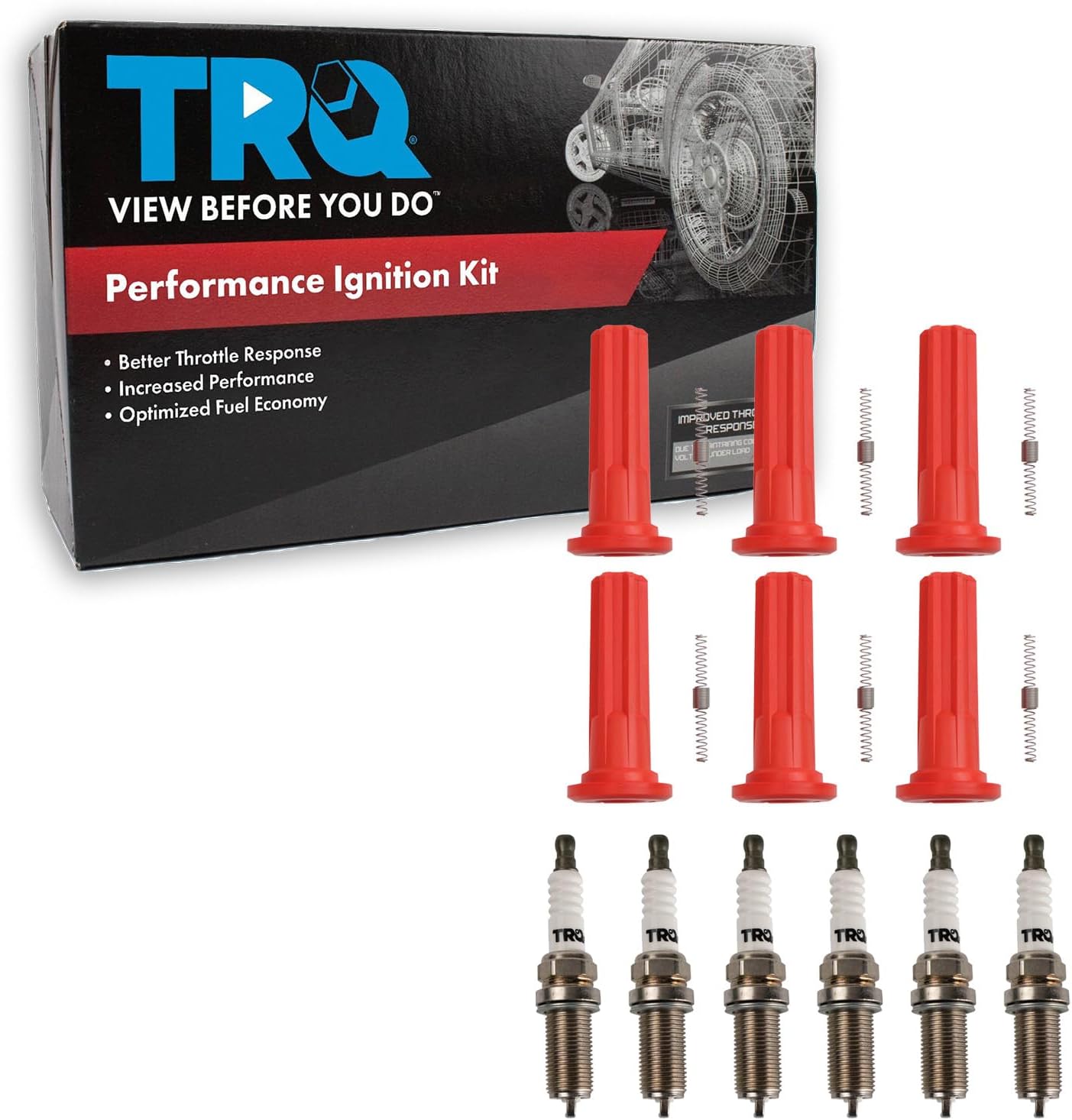 TRQ Ignition Coil & Spark Plug Kit 12 Piece Compatible with 2006-2007 Buick Rainier 2006-2009 Chevrolet Trailblazer GMC Envoy Saab 9-7x 2006-2008 Isuzu Ascender