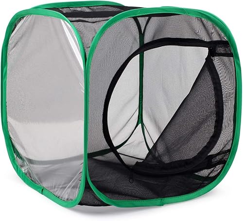 Miniatura 43 de RESTCLOUD - Jaula de hábitat para insectos y mariposas, 23.6 pulgadas de alto Blanco con verde