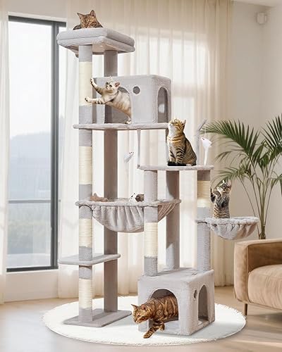 cat tree for Koda