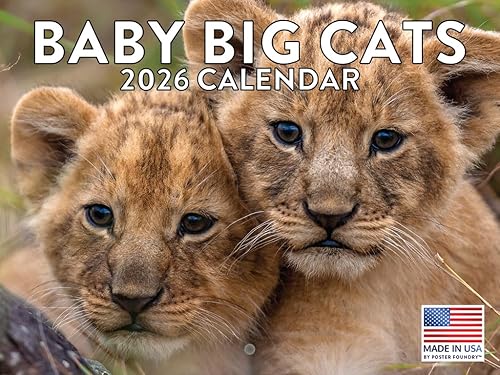 Vista 81 de Calendario alpaca 2026, calendario mensual de pared de 12 meses Hecho en Estados Unidos. Red Pandas