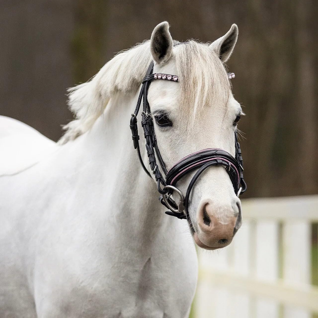 NETPROSHOP Leder Trense Bixie mit Herz-Straßsteinchen weich gepolstert Shetty und Mini Shetty, Groesse:Shetty, Farbe:Rosa
