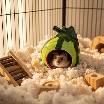 Hypeety Ceramic Hamster Hideout Decor Cool Bed Bath House for All Season | 4.7x3.9x3.7'' ceramic hide, cooling and chew-proof critter bath, easy to clean, for dwarf hamsters/rat/mice, green watermelon