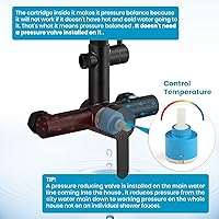 Vista 5 de gotonovo Cuerpo de válvula principal de acero inoxidable SUS304 adecuado para accesorio de ducha al aire libre, mango único de dos funciones, negro