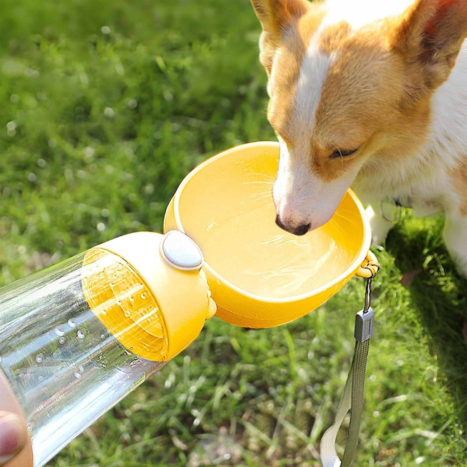 Portable Water Bottle for Dogs,Puppy Water Dispenser Portable - Pet Drinking Container for Hiking Outing, Leakproof Dog Watering Dispenser - Image 2