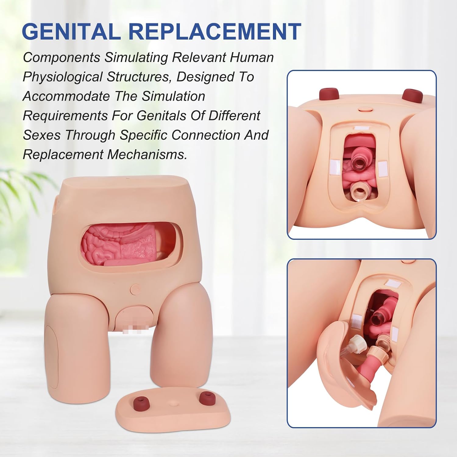 Catheterization Simulator Kit – Male/Female Interchangeable Manikin, PVC Teaching Model for Nurses & Students w/ 4 Bedsores