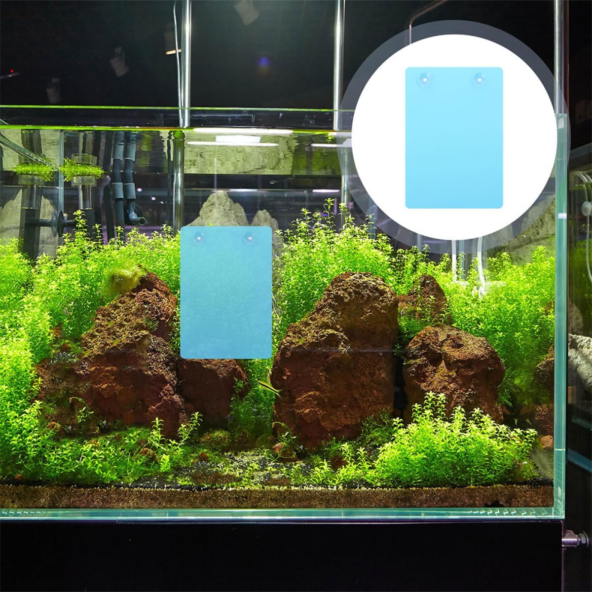 Kisangel Aquarium Divider Tray Fish Tank Accessories Suction Cup Spawning Plate for Fish Breeding