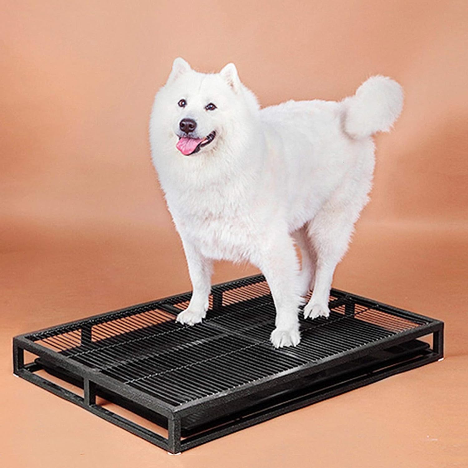 zyifan Pet Toilet Pet Dog Toilet Litter Tray, Pet Toilet Dog Potty Training Pad, Removable Plastic Waste Tray Easier Clean Up, for Indoor Outdoor : Pet Supplies