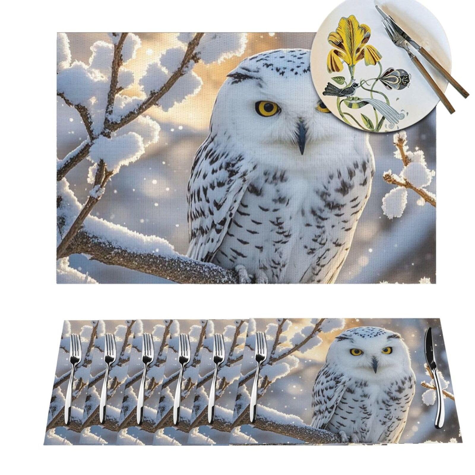 Sets de table PVC hibou blanc pour repas de salle à manger chaleureux en famille