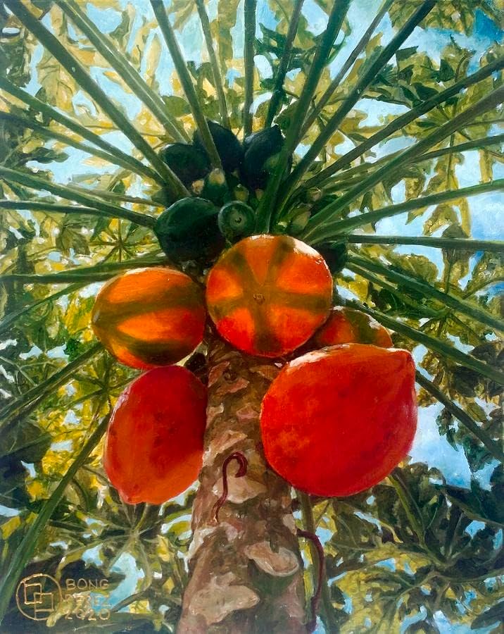 - Sweet papaya seeds for planting 1500 seeds