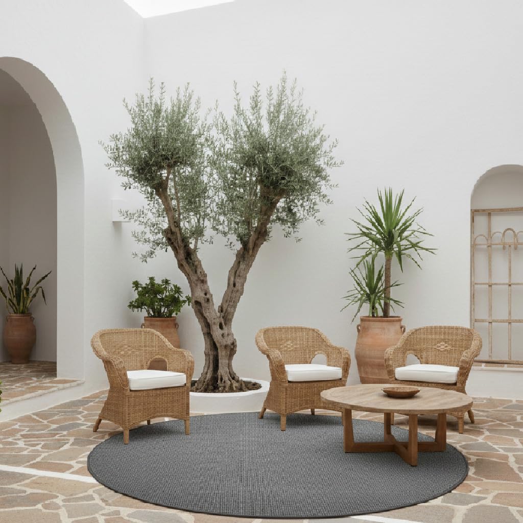 Tadi & Imperio1979 Tapis Rond intérieur et extérieur - Tapis sans Poils - Anthracite - Tapis Diametro 150 cm - Tapis en Fibre synthétique pour Salon et terrasse