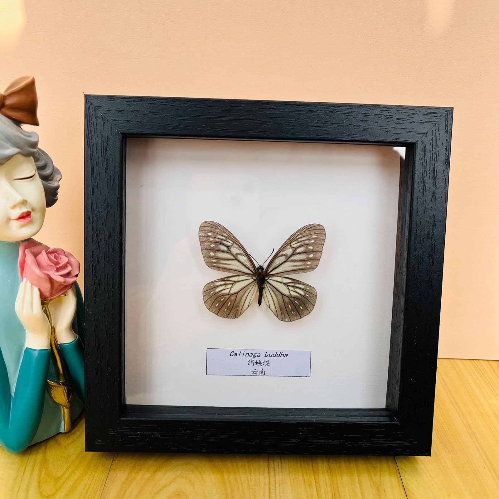 Taxidermy Mounted In Frame,Exquisite Butterflies Insect Specimen,Collection Of Butterfly,Unique Home Decor Wall Decoration Gift For Christmas Valentine Birthday,Real Butterfly Specimens17.6*17.6cm