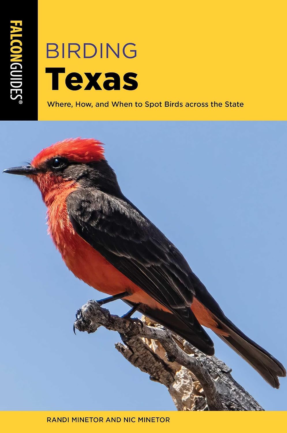 Birding Texas (Birding Series)