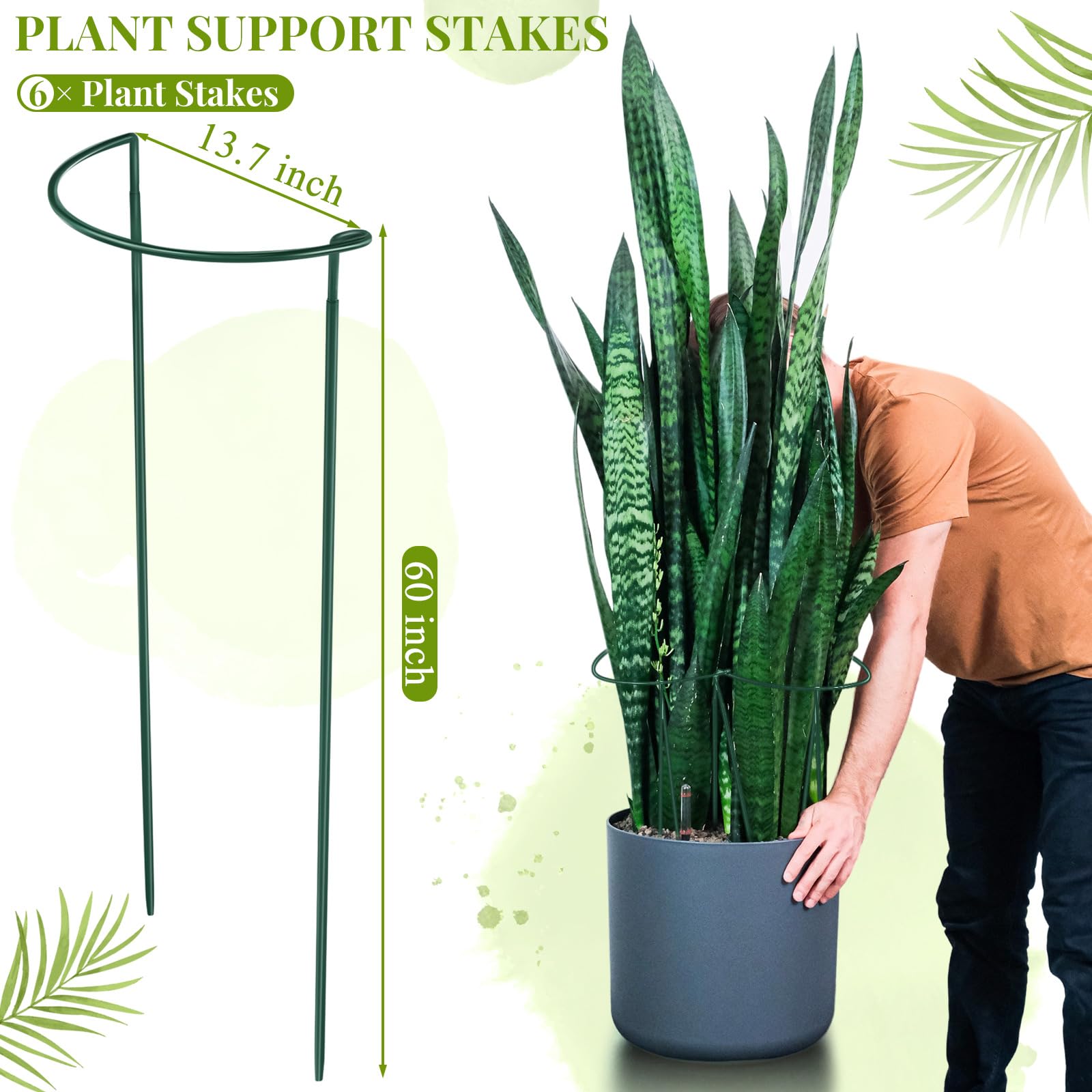 Tioncy Lot de 6 piquets semi-ronds en métal pour plantes d'intérieur et d'extérieur - Pivoine, tomate, amaryllis et hortensia - 50 cm de large x 152,4 cm de haut