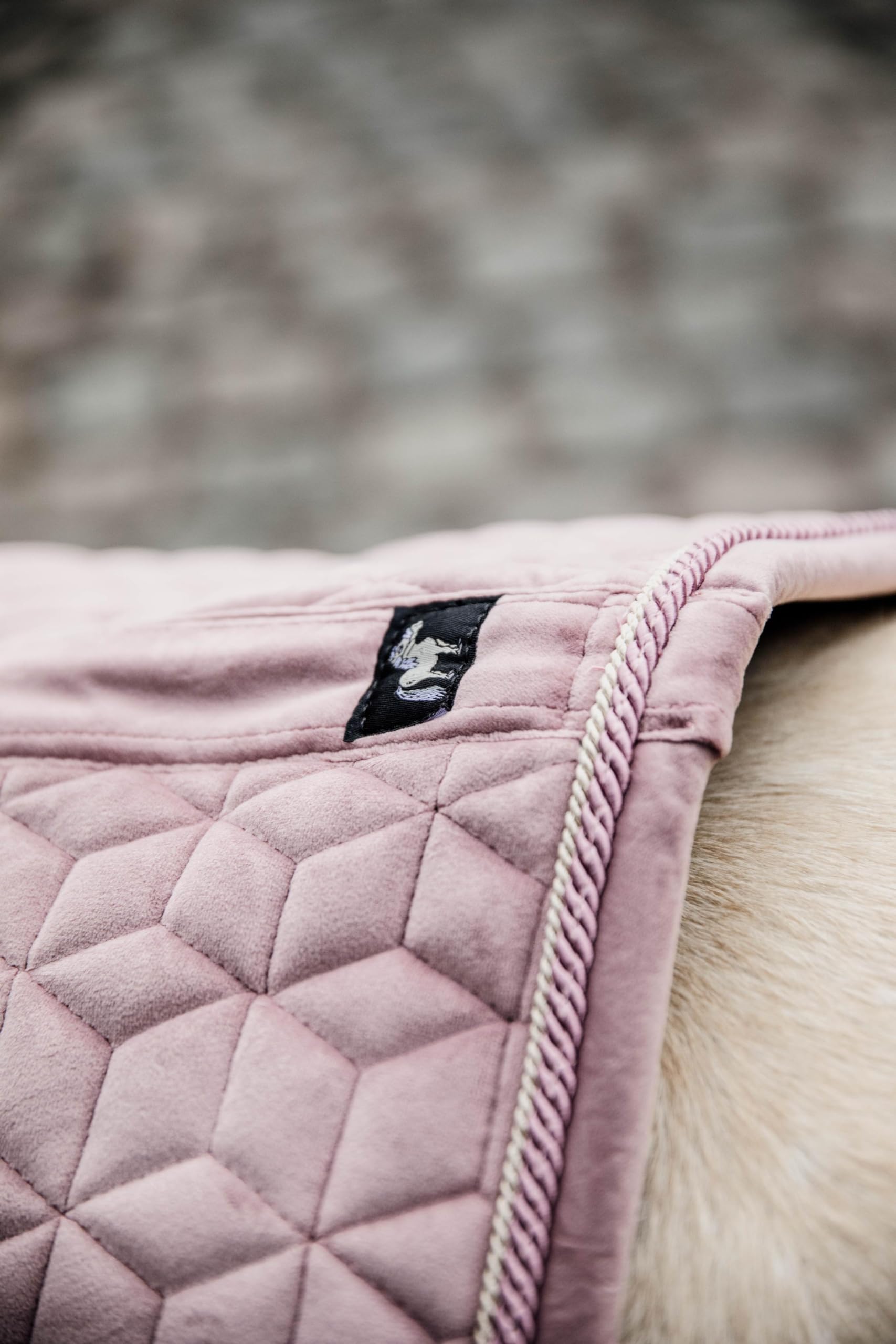 Tapis de selle PONY Vieux rose Velours Saut d'obstacles